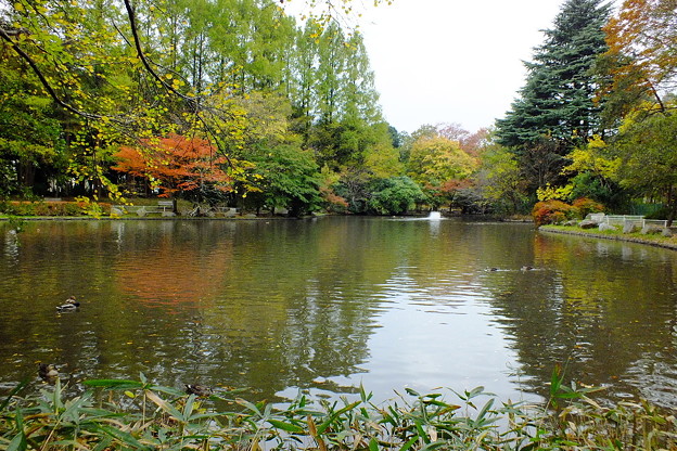 DSCF0342