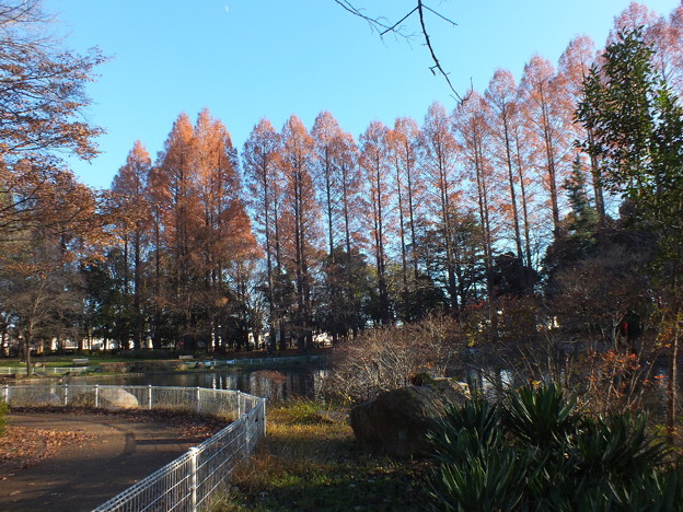 DSCF0305