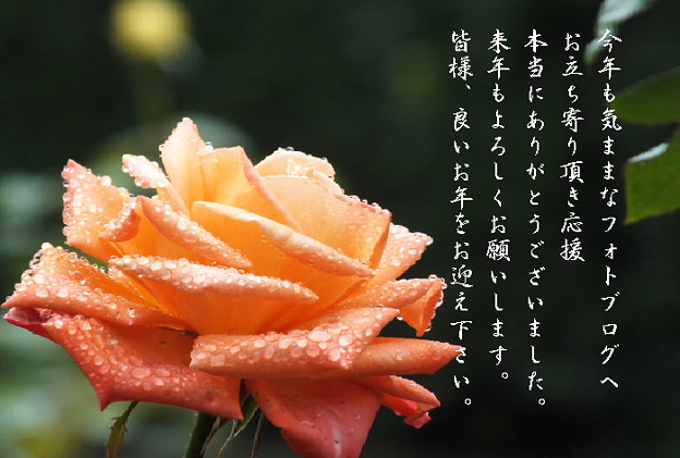 年末2