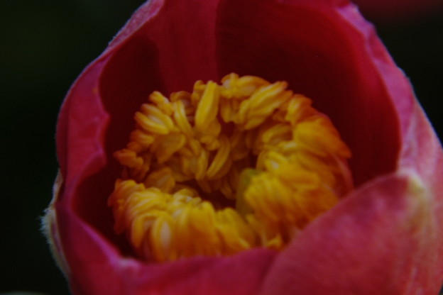 DSCF0094