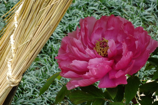 DSCF0022