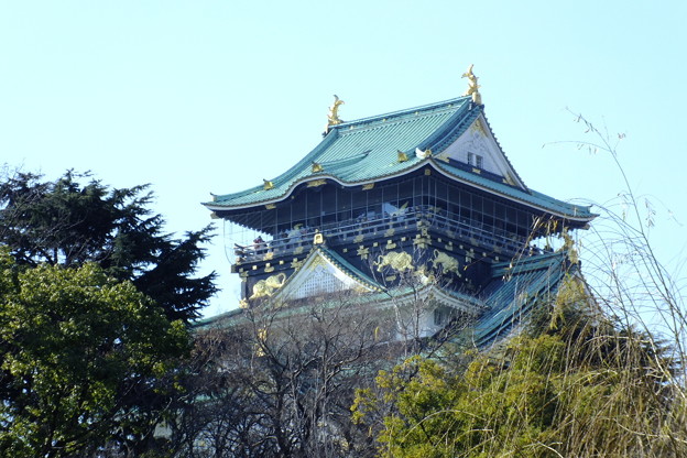 DSCF0376