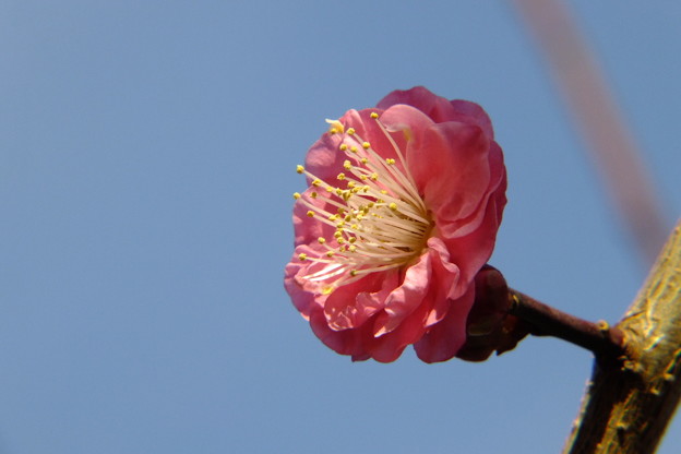 DSCF0502