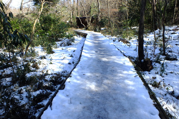 DSCF0024