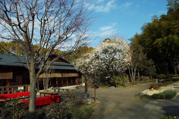 DSCF0320
