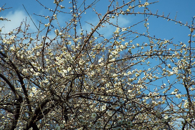 DSCF0232