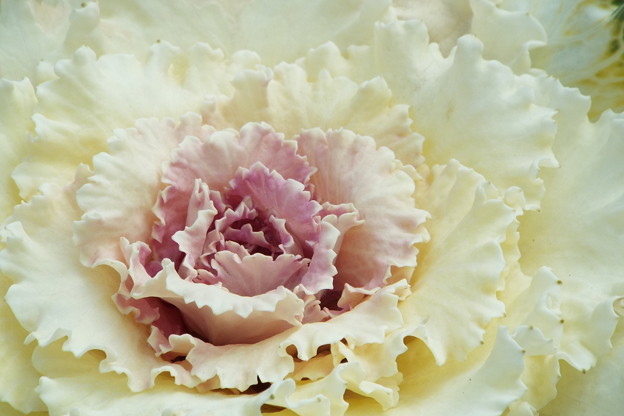 DSCF0070