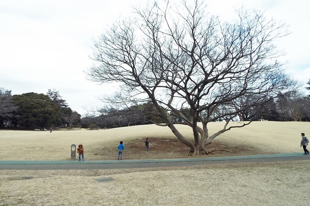DSCF0094