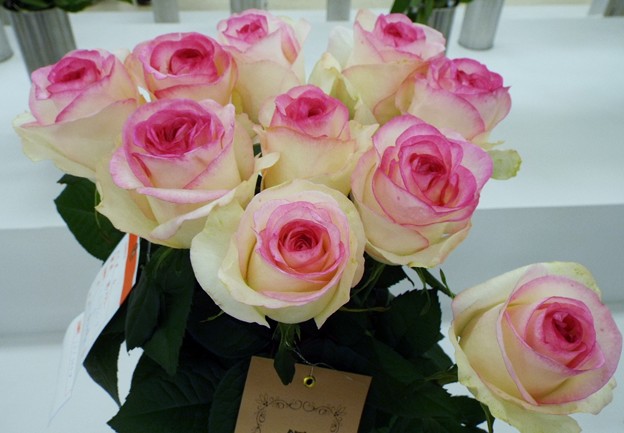 DSCF0371