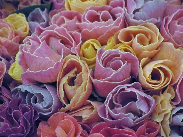 DSCF0693