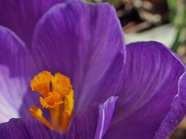 DSCF0117