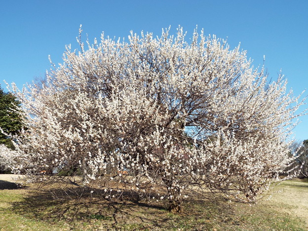 DSCF0373