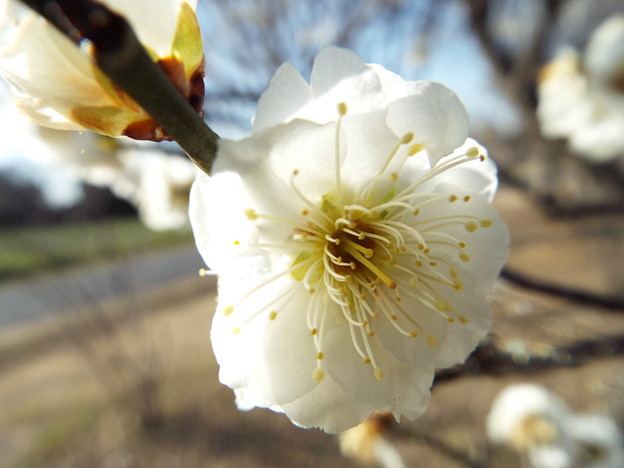 DSCF0449