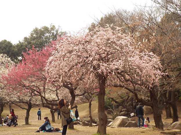 DSCF0325