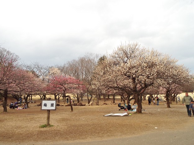 DSCF0343