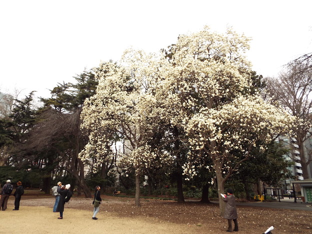 DSCF0003