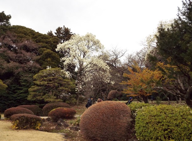 DSCF0052