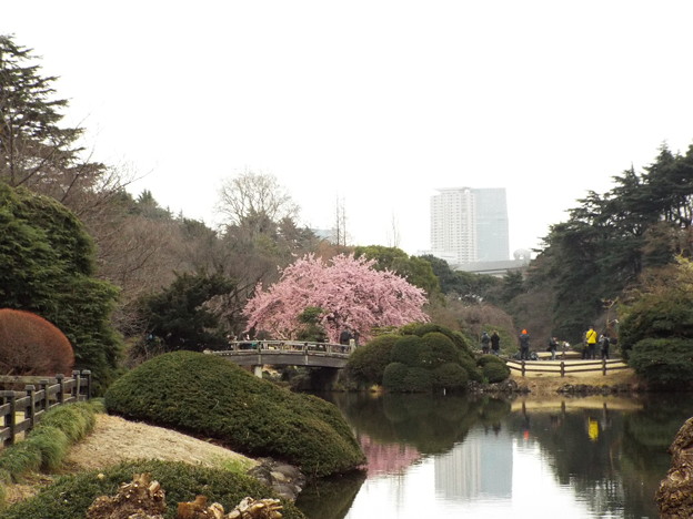 DSCF0205