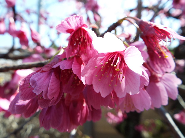 DSCF0188
