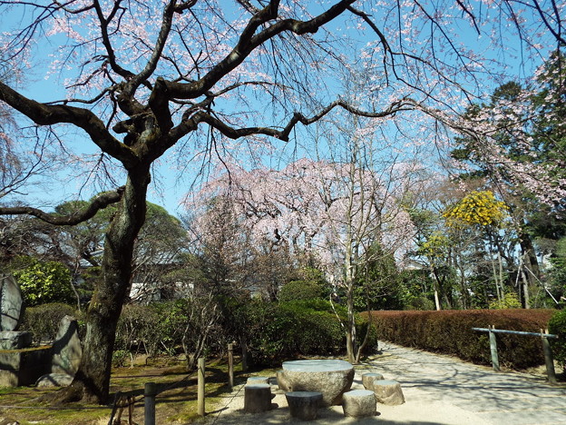 DSCF0131