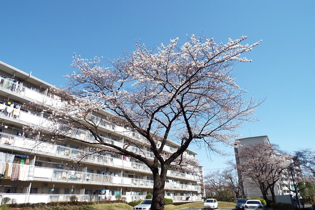 DSCF0148