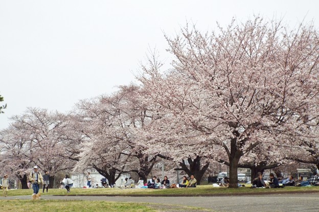 DSCF0217