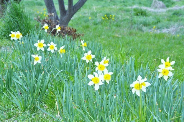 DSCF0408