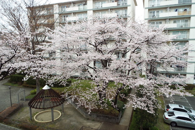 DSCF0720