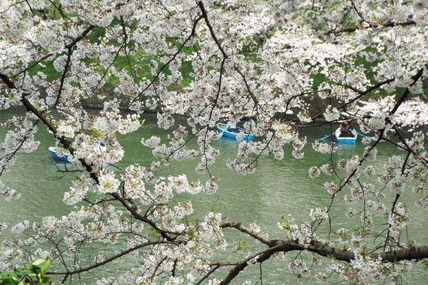 DSCF0442