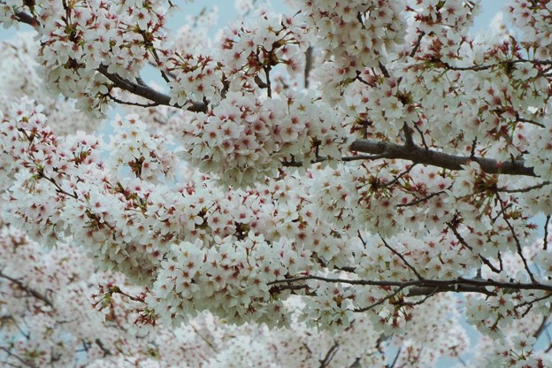 DSCF0143