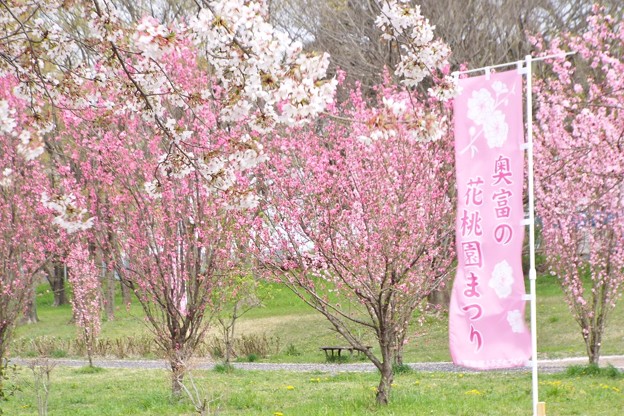 DSCF0282