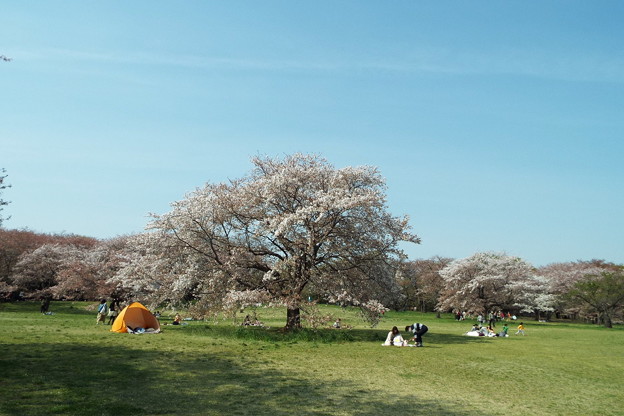 DSCF0612