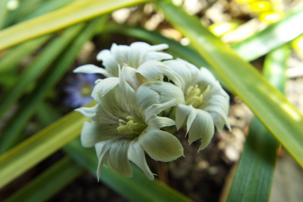 DSCF0197
