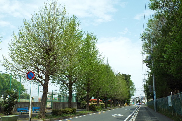 DSCF0096