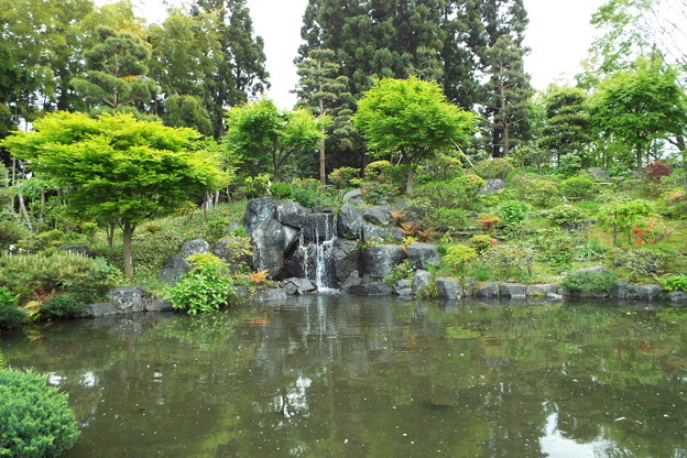 DSCF0101