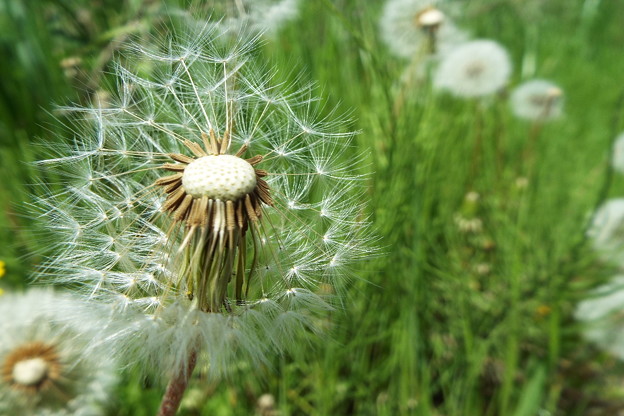DSCF0074