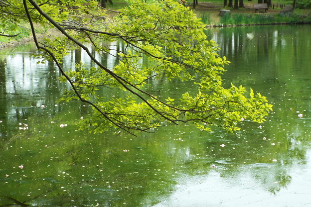 DSCF0586