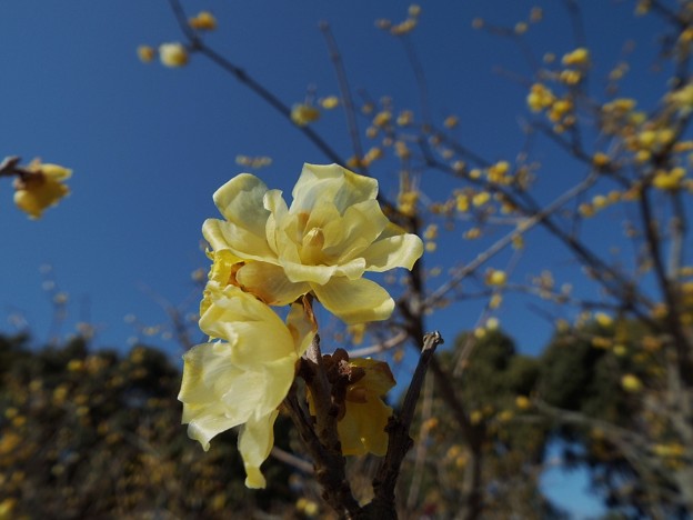 DSCF0174