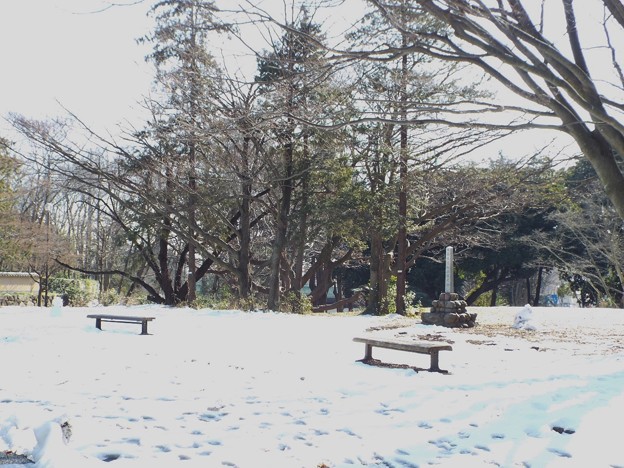DSCF0045