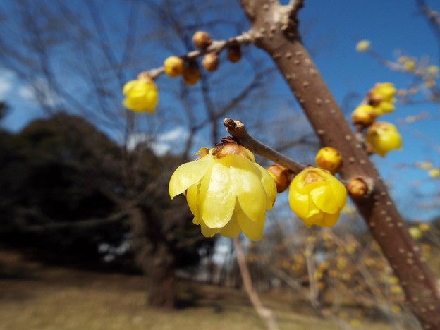 DSCF0236