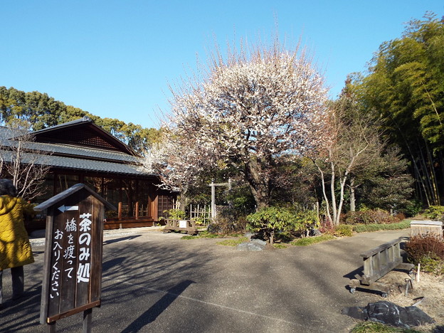 DSCF0009