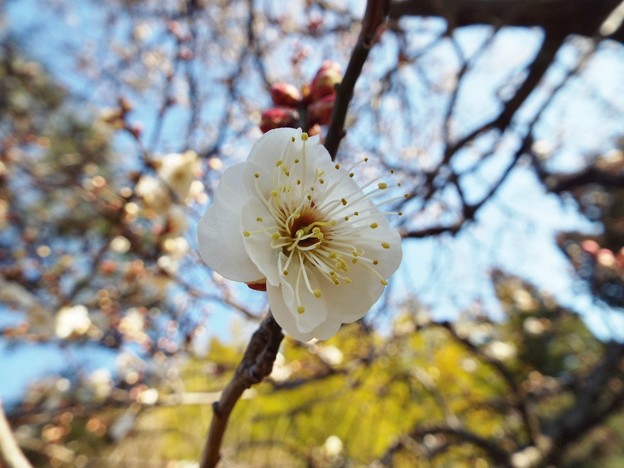 DSCF0018