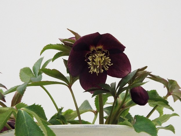 DSCF0029