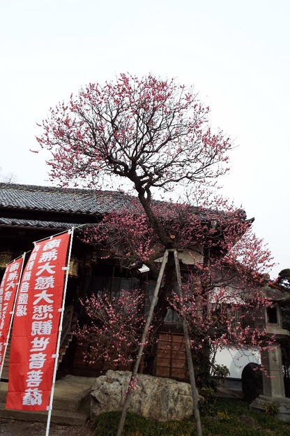 DSCF0042