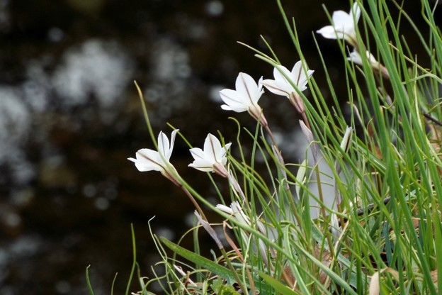 DSCF0112