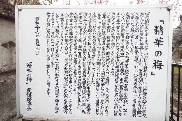 DSCF0123