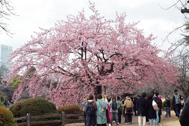 DSCF0511