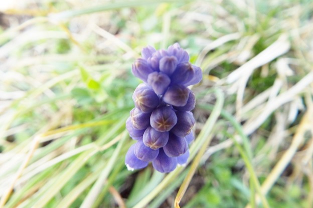 DSCF0026