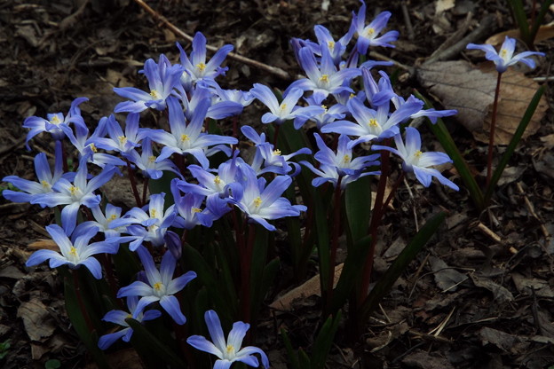 DSCF0154