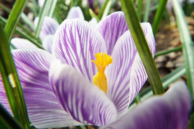 DSCF0298